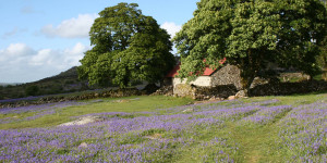 Self-Catering England, UK