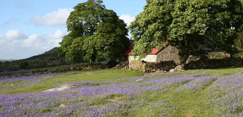 Self-Catering Devon, England