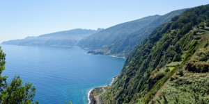 Pet Friendly Accommodation in Madeira